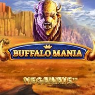Buffalo Mania MegaWays game screenshot